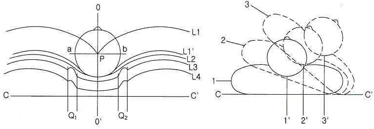 특허 제10-2641548호(시소동작부를 구비하는 스마트 베개, 박두현, 