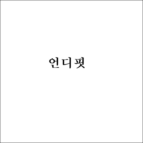 상표등록 18류 제40-0957309호(언디핏, 김성현)