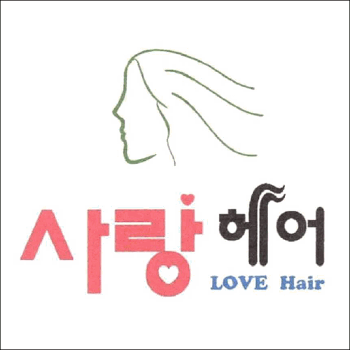 상표등록 44류 제40-1540023호(사랑헤어 LOVE Hair, 정진우)