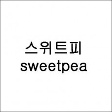 상표등록 25류,25류,18류 제40-0707464,40-0918533,40-0951212호(스위트피sweetpea, 송재훈)
